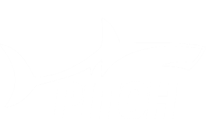 PitchApp